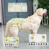 Другие брюки Четырех -летняя магазин шесть размеров брюк, собак, физиологических штанов, брюки с сука брюки, женские собаки специальные менструальные анти -интерсии с золотистым ретривером санитаря