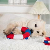 Собаки вокал, кусая игрушка, игрушка укусить и укусить укусить, большая собака Лабрадор Золотой ретром Самоя 神