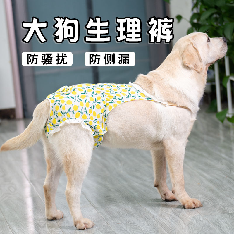 Dog Physiology Pants Mother Dog Hair Love Aunt Pants Safety Pants Female Dog Special Menstrual Copulation Hairy Dog Sanitary Napkins-Taobao