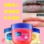 Vaseline Lip Balm Nhỏ màu xanh Lon Sửa chữa chính hãng Crystal Lip Balm Kem hoa hồng Vaseline Lip Glaze Lip Care các loại son dưỡng môi tốt