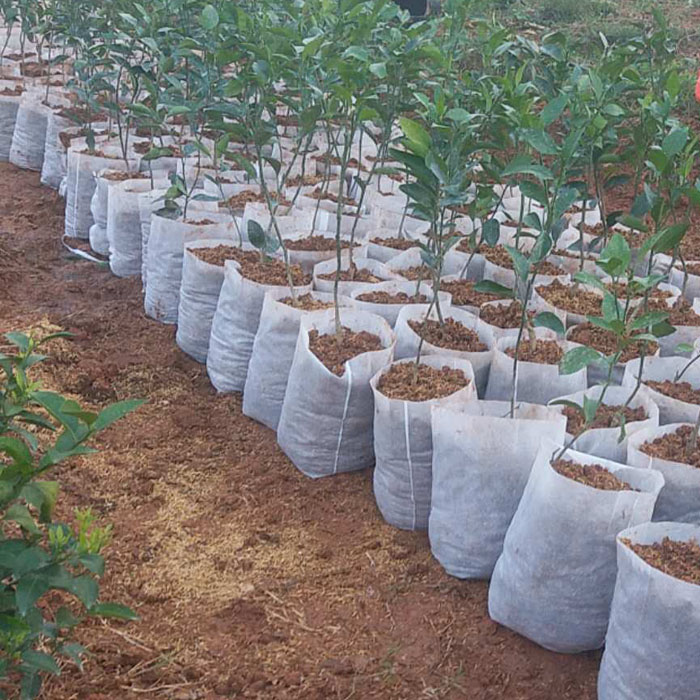 不織布布包郵營養袋營養杯可降解免脫袋一次性種植袋營養盆鉢育苗袋 不織布布包郵營養袋營養杯可降解免脫袋一次性種植袋營養盆鉢育苗袋