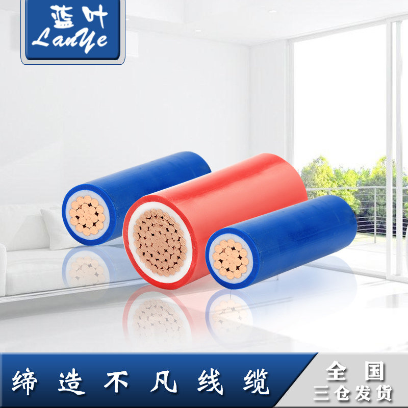 Blue Leaf national standard wire BVV10 16 25 35 50 70 95 120 square copper wire double plastic copper wire