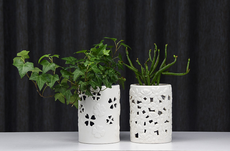 Spring park, contracted style white porous permeability more meat the plants tin caulis dendrobii hollow ceramic flower pot to the plants