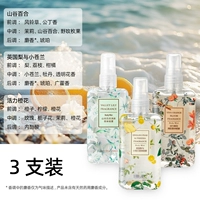 3 инсталляции- [Интернет-знаменитость горячие продажи ❤] Британская груша и Сяо Канглан*1+долина лилия*1+жизнеспособность апельсиновый цвет*1