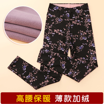 Womens cotton pants plus velvet thin bottoming mother high waist thin velvet pants middle-aged and elderly large size wear flower cotton pants autumn and winter
