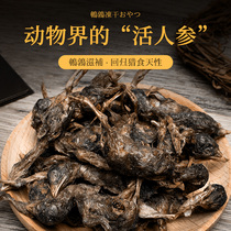 Pet Kitty Snacks Supplies Small Quail Freeze-dried Growth Fattening Hair Blush Nutrition Young Cat Into Cat Pooch Grinding for Tooth Test Eating