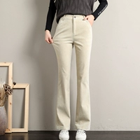 Абрикосовая единственная модель