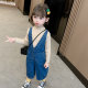 Girls' denim overalls spring and autumn 2023 new foreign style fashionable children's spring baby girl loose pants spring clothes