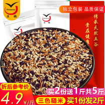 Three-color brown rice fitness low-fat coarse grain rice grains farmhouse new rice 5kg staple food whole wheat new brown rice