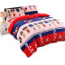 Flannel quilt cover đôi mùa đông dày ấm áp lông thú sinh viên đơn ký túc xá san hô chăn đơn mảnh 	ruột chăn phao	 Quilt Covers