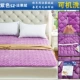 Là chống tĩnh lông cừu mat san hô chăn Sheets Quilt nệm pad đơn đôi cộng với nhung trên cả hai mặt của cọc - Nệm