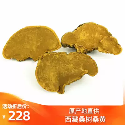 Tibet pure wild mulberry mulberry yellow authentic golden yellow ganoderma lucidum 250 grams and half a kilogram whole branches and whole flowers can be sliced and pulverized