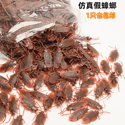 Simulated cockroach prank prank gift tricky props fake cockroach spoof toy fake bug scary Xiaoqiang
