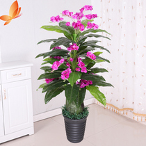 Phalaenopsis anti-real flower living room decoration plant bonsai indoor large fake tree decoration green plant floor potted ornaments