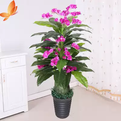 Phalaenopsis real flower living room decoration plant bonsai indoor large fake tree decoration green planting floor potted ornaments