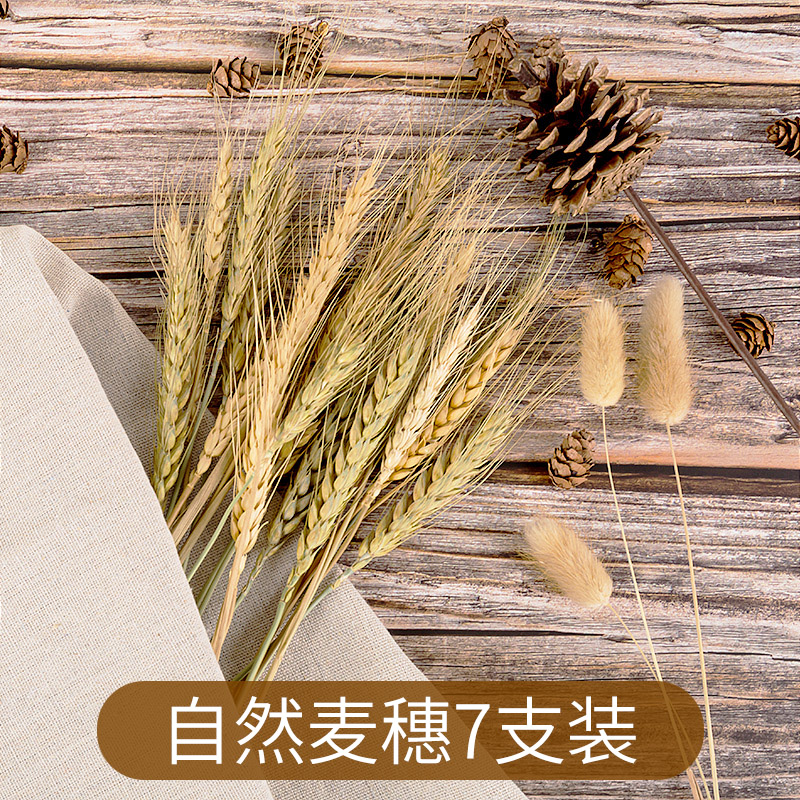 Natural wheat 1 bunch 7 ears of wheat photo background props Home decoration floral shooting props