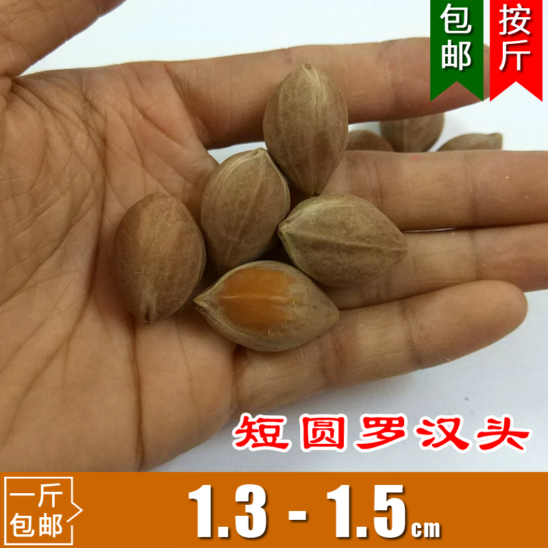 Olive nucleus nucleus nucleus 1 pound olive core carved original seed A330