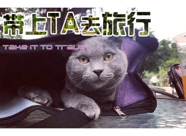 Pet túi kèm theo chó mèo ba lô ra hành lý du lịch Teddy gấu túi mùa hè túi thoáng khí - Cat / Dog hàng ngày Neccessities Máng ăn cho chó con