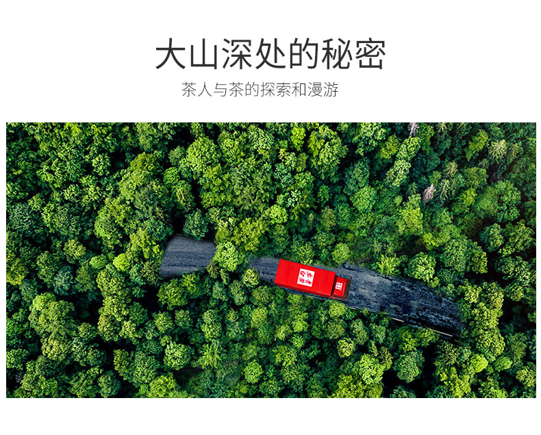 呱呱星 2020新茶 安吉白茶 125g 图4