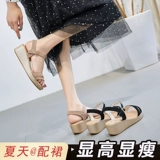 Сандалии, обувь, летняя универсальная подходит с юбкой на платформе для отдыха