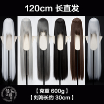 Mandarin Hall Pavilion Long Straight 120cm Sterling Silver Silver Gray Black Brown Antique Anime Cos Wig