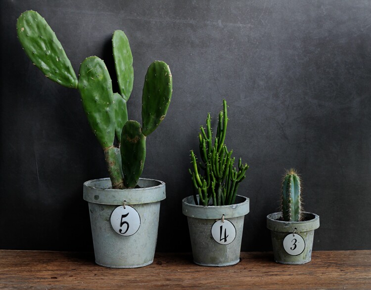 Export foreign trade tail list of old iron curled exposure basin Nordic style concise basin multi - flesh flower