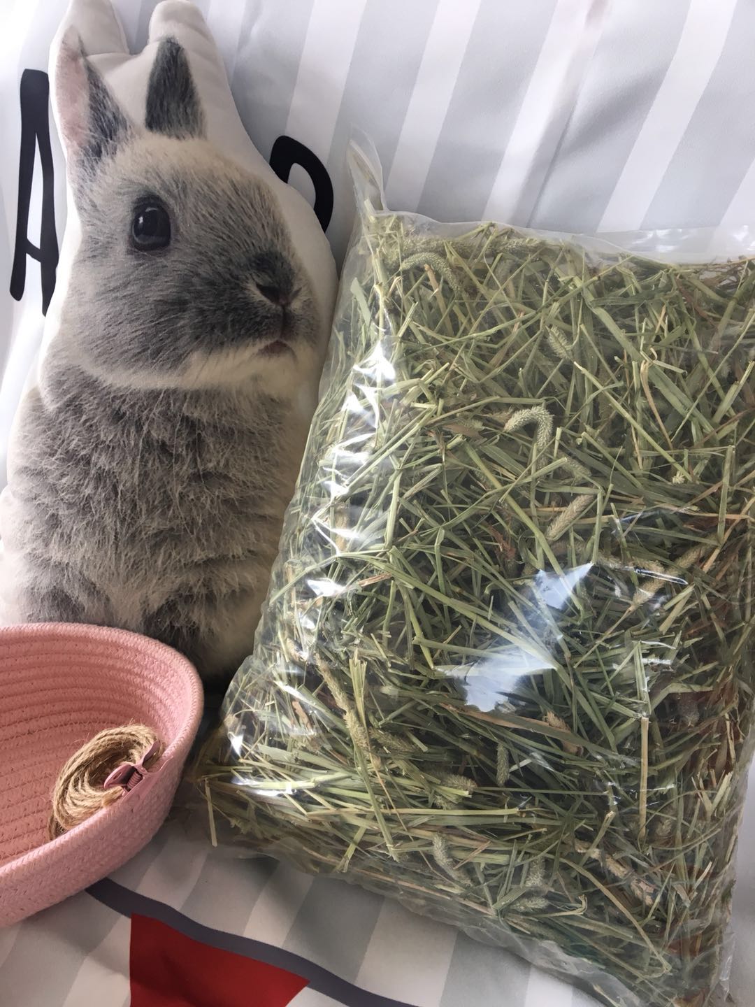 Fan Pet House Canadian Timothy Grass One press Timothy grass Rabbit Dutch Pig Chinchilla Molar plus dried grass 500g