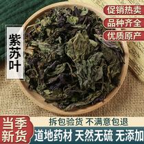 Perilla leaves dried new goods dried perilla spices edible bulk fresh dry goods 500g