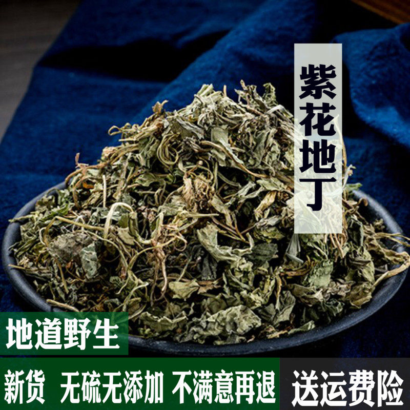 中藥材紫花地丁紫花地丁草苦地丁草地丁紫花地丁500克包郵