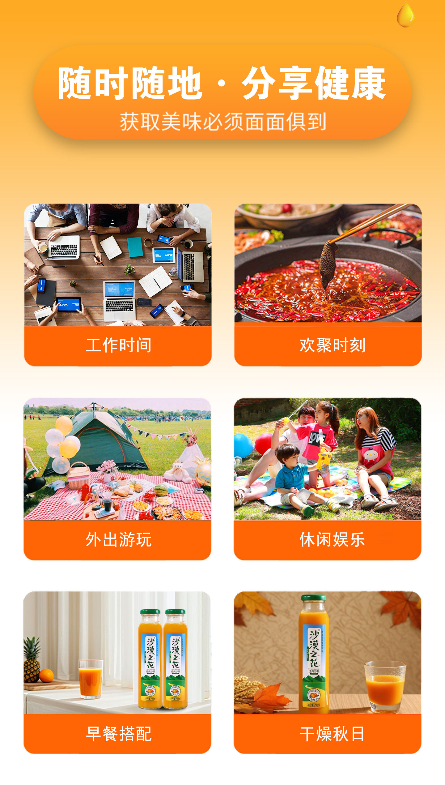 安享好物 安享C级混合果蔬汁-沙漠之花经典沙棘汁 国标 