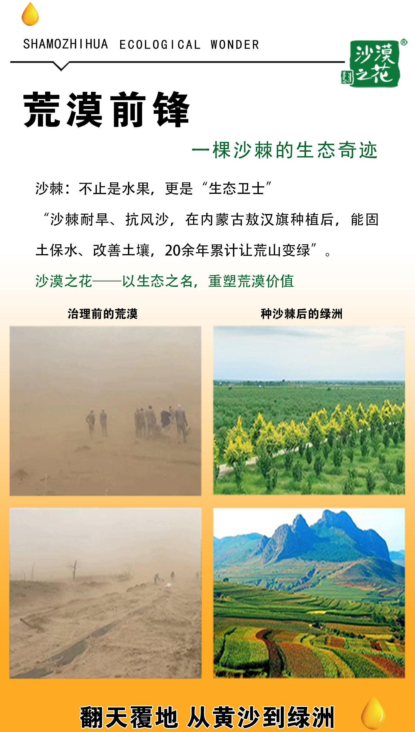 安享好物 安享C级混合果蔬汁-沙漠之花经典沙棘汁 国标 