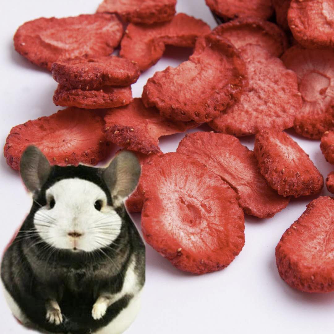 Totoro Snack Strawberry Freeze-Dried 25g Chinchilla Hamster Rabbit Vitamin C Supplement Buy 2 Get 1 Free Buy 3 Get 2 Free