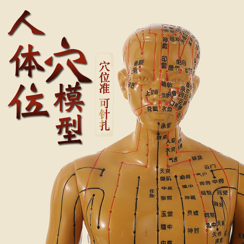 人体经络模型针灸穴位人体模型中医经络小铜人针灸人偶中医经络人