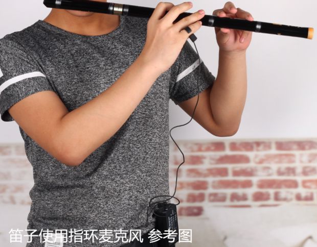 Không dây giai đoạn đón biểu diễn khuếch đại đàn guqin sáo erhu guitar violin cụ chuyên dụng - Phụ kiện nhạc cụ dây đàn guitar acoustic elixir
