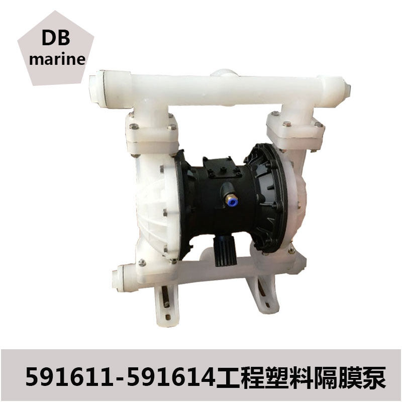 591611 591612 591613 591614 Project plastic pneumatic diaphragm pump Diaphragm Pump