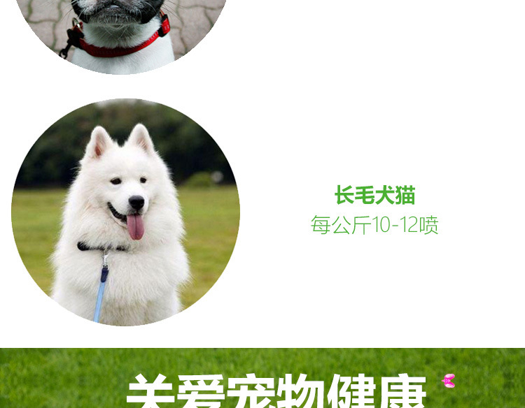 bình xịt diệt khuẩn Chó cưng ngoài gia đình diệt bọ chét 立 清 去 虱子 药 蜱 猫猫 - Thuốc diệt côn trùng bình xịt côn trùng giá