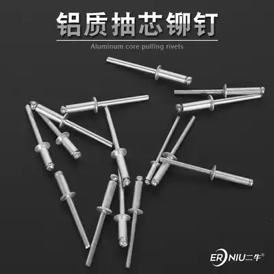 Riveter rivet gun aluminum blind rivet decoration nail open flat round head 3 2 4 4 8mm