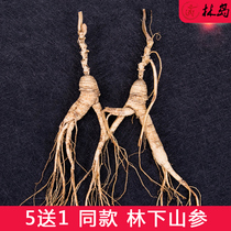Lindao Northeast Jilin mountain ginseng 1 small residual mountain ginseng under the forest 16-year-old root long reed 10 or more