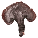 林岛 Wild Ganoderma lucidum Changbai Mountain Ganoderma продает только 170 юаней 100 граммов