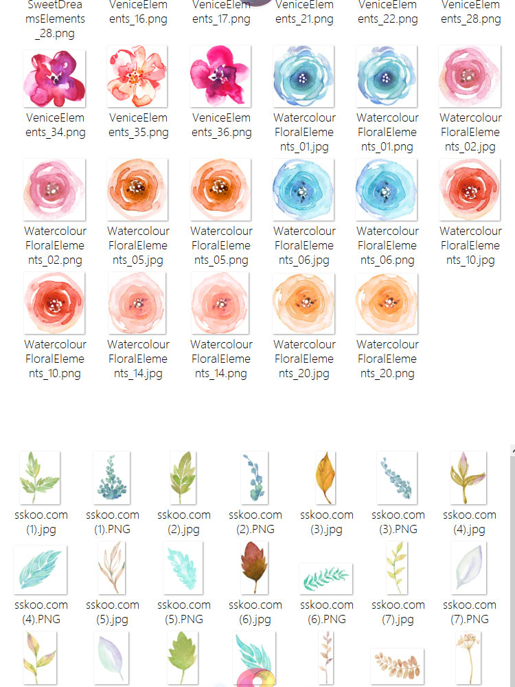 玫瑰鲜花花朵花卉叶子树叶手绘水彩剪贴插画PNG免扣设计装饰素材插图11