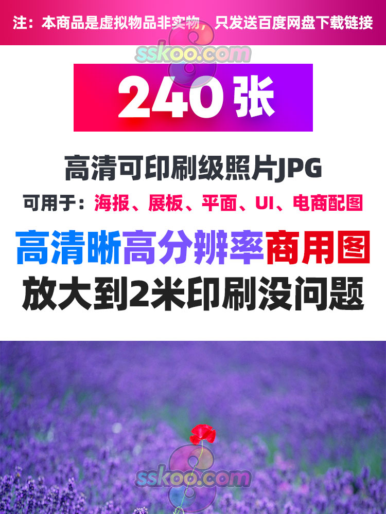 紫色薰衣草电箱画特写摄影照片高清图片海报广告电商设计背景素材插图1