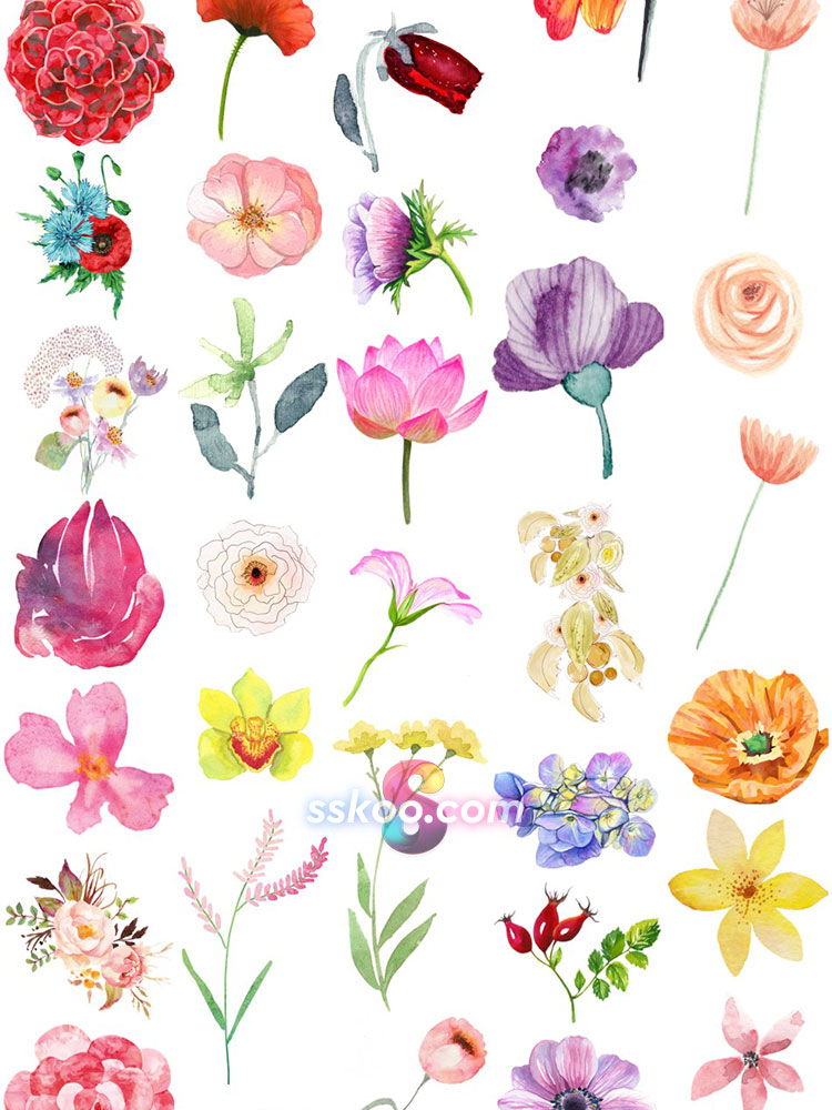 鲜花花朵花卉叶子树叶手绘水彩剪贴插画PNG免扣透明设计装饰素材插图6