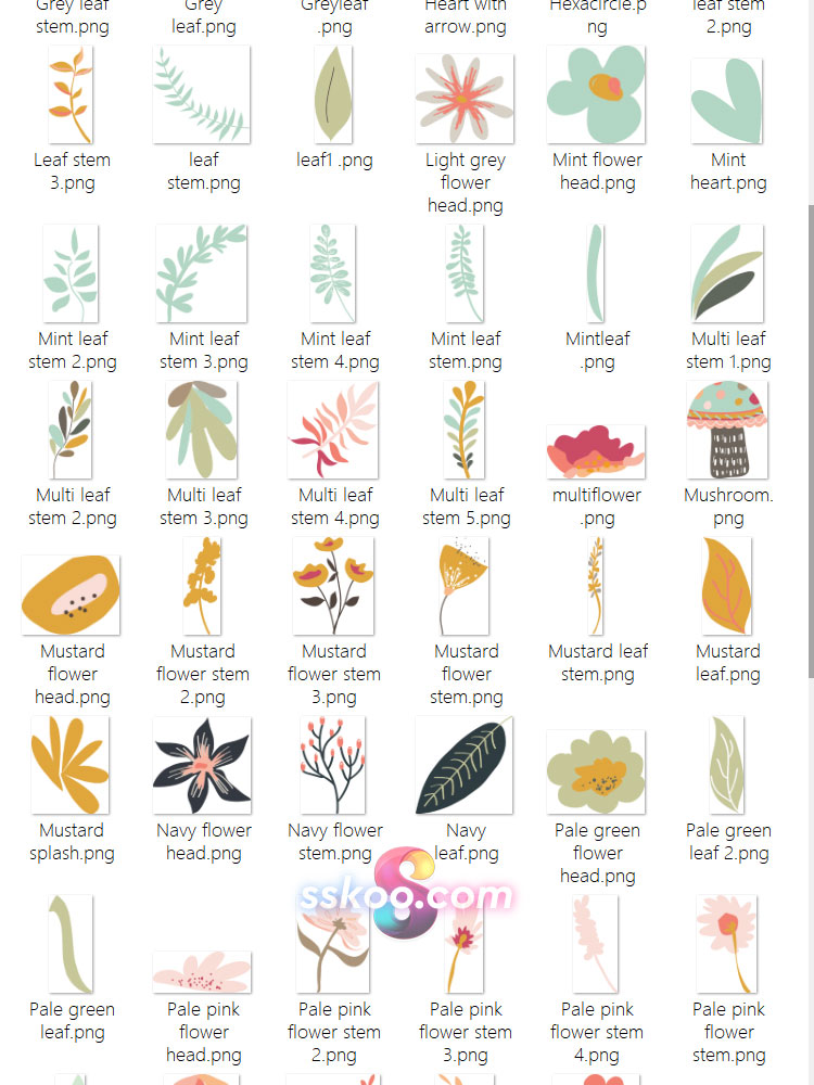 花园植物花卉手绘剪贴画插画插图PNG免扣背景透明设计装饰素材插图8