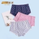 Mới 1 dòng Đồ lót nữ thời trang và thoải mái Quần lót cotton Modal dứa giữa eo Nữ sinh viên đại học bên trong 3 chiếc - Giống cái