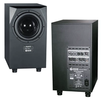 SUB10 MK2 ОДИН -ДД 10 -INCH LINE LINE