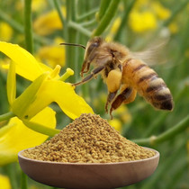 花粉天然食用油菜花粉破壁花粉纯天然破壁食用美容