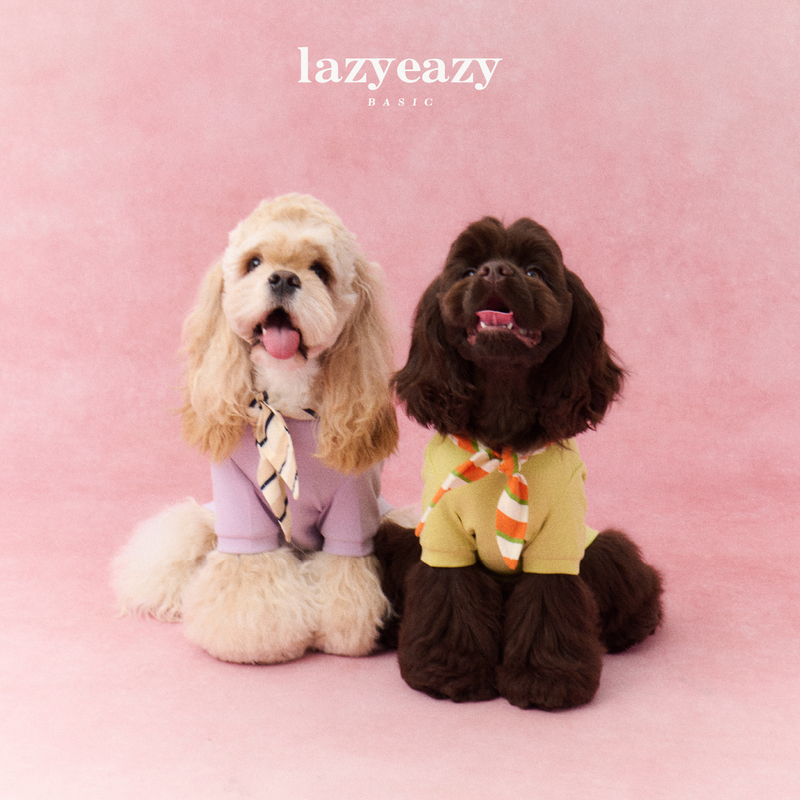 Lazyeazy Pet Dog Clothes Hooded Lace-Up Detachable Sweatshirt Spring New Dog Clothes for Small and Medium-Sized Dogs