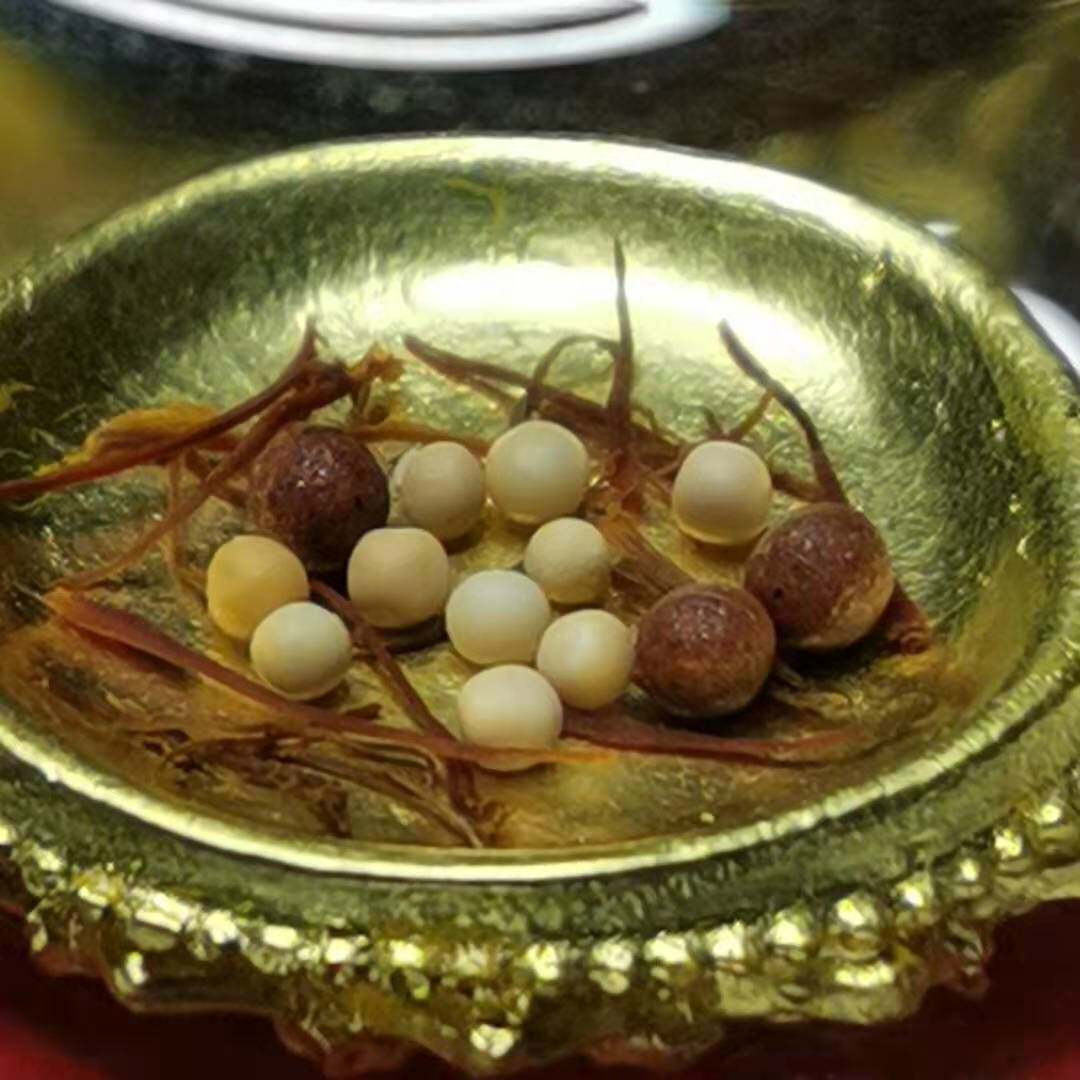 Amitayus Crumb Single for Stupa Gau Box (Size 2mm)