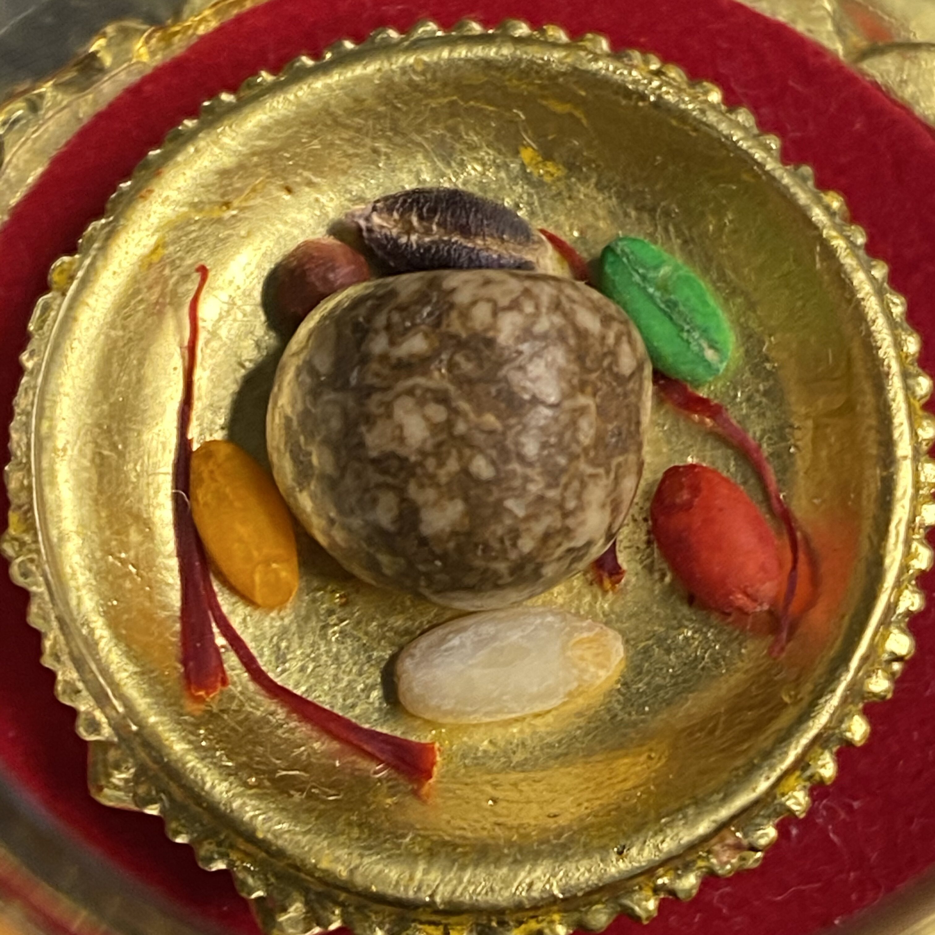 The Contiguous Shade of the Contiguous Shade of the Rare Colour of the Hidden Firm of the Hidden Firm of the Contiguous Zone for the Shelittagau