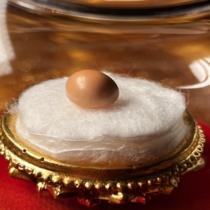 Sakyamunis original G solid seed one size is about 8 5mm stupa gawu box